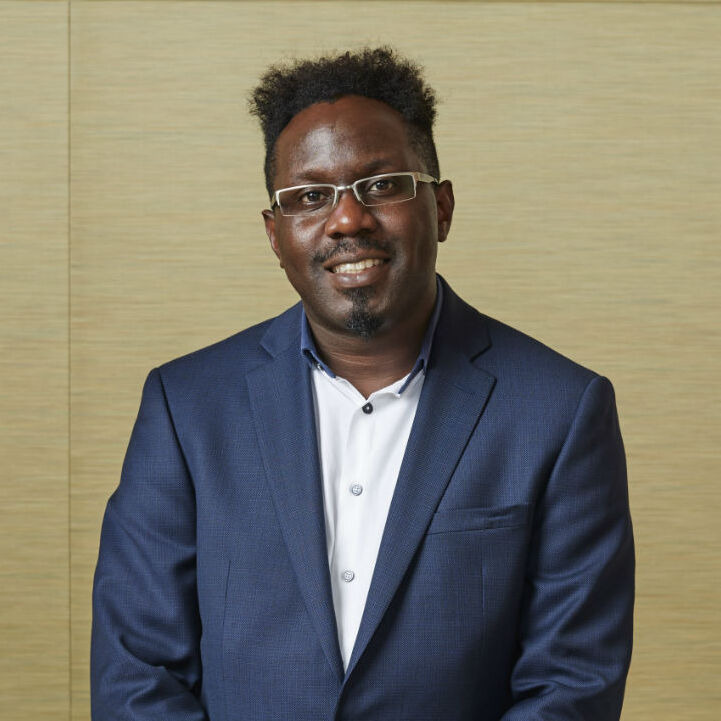 Prof. Deji Akinwande, PhD